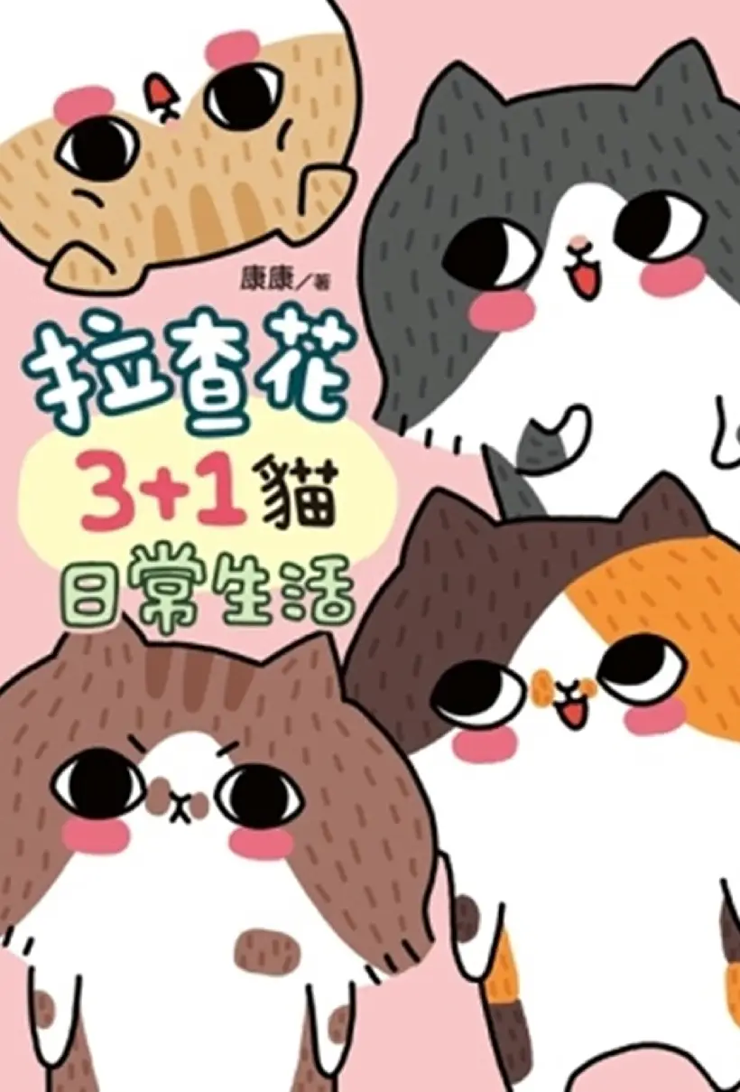 拉查花三猫日常生活