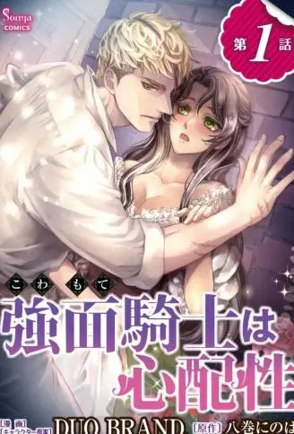 冷面骑士爱操心
